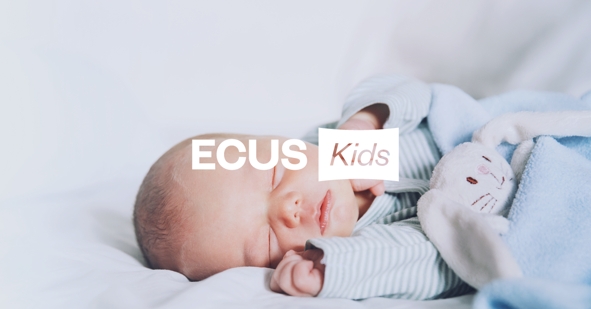 Somier Innova - Colchones Ecus y Ecus Kids, almohadas y